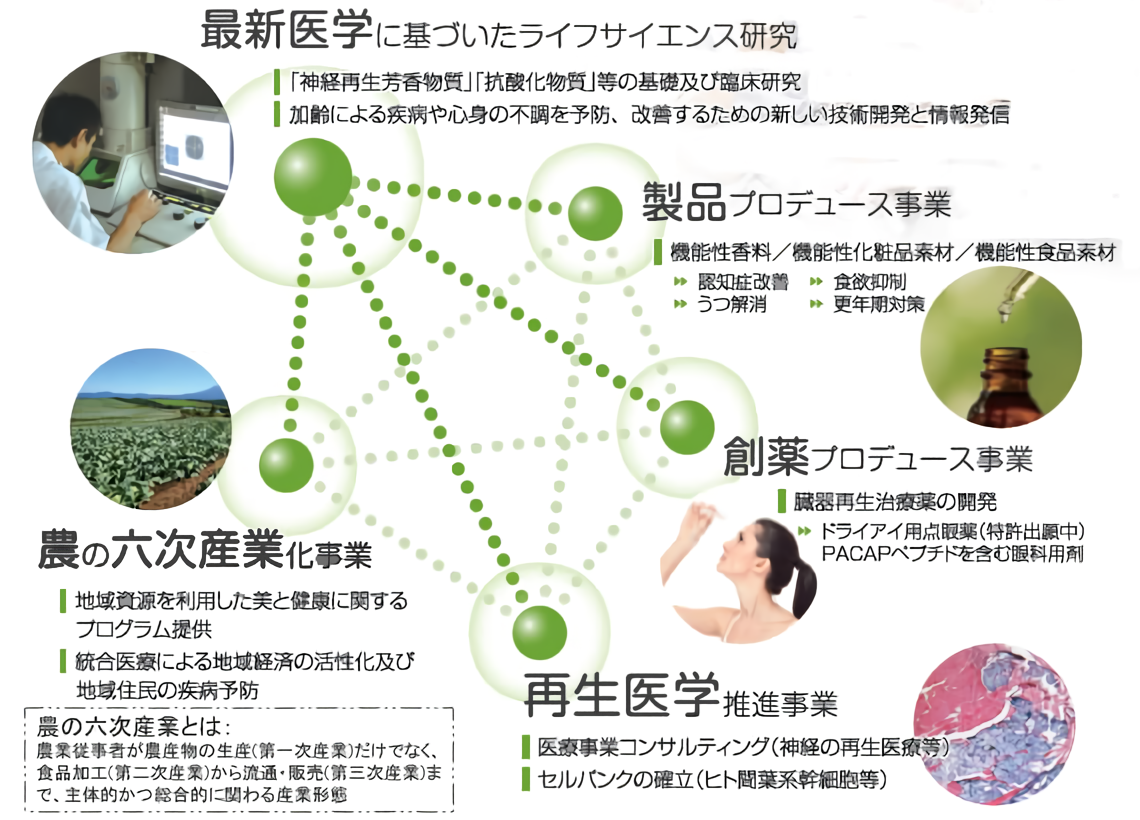 最新医学に基づいたライフサイエンス研究