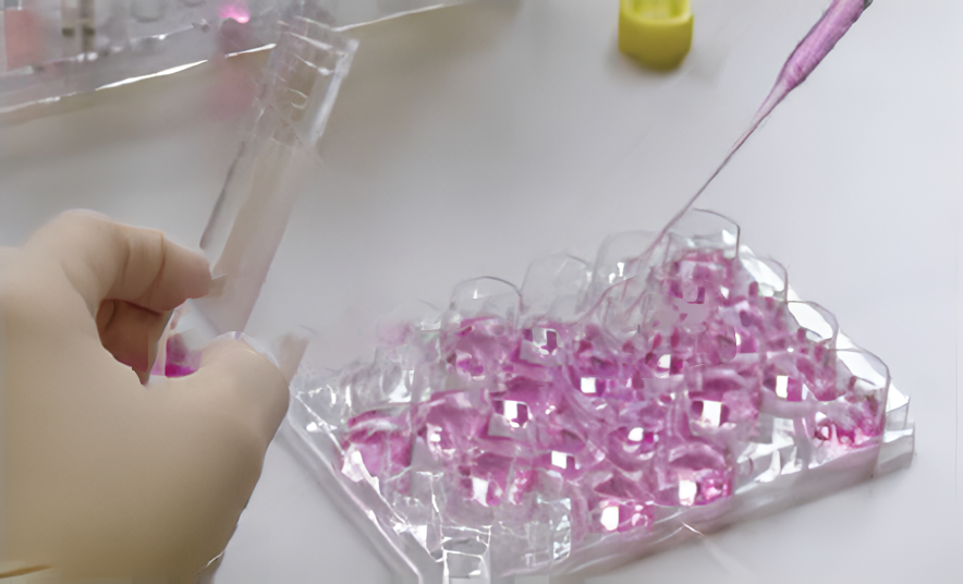 再生医学の推進に向けたコンサルティング